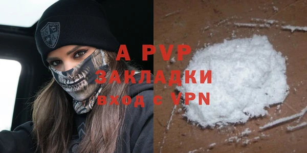 стаф Арсеньев