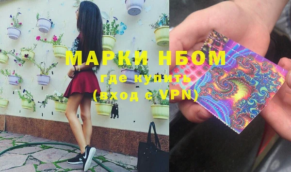 стаф Арсеньев