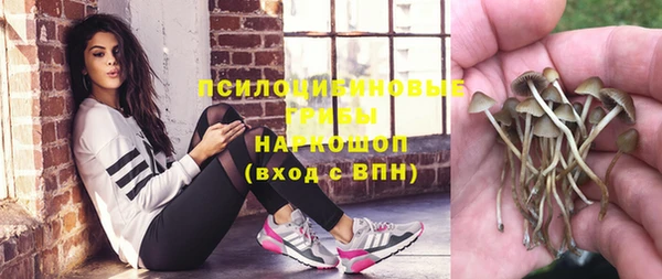 эйфоретик Алзамай