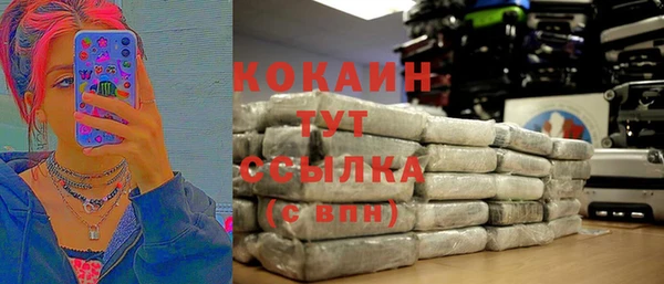 стаф Арсеньев