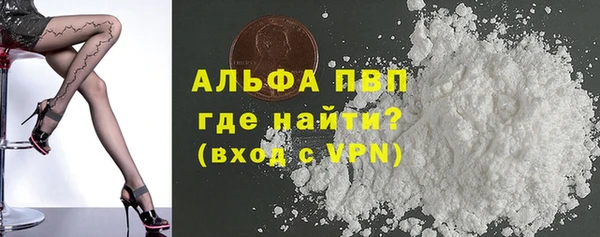 стаф Арсеньев