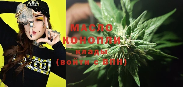 стаф Арсеньев
